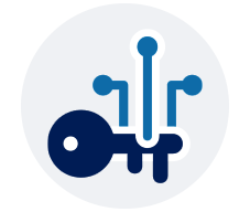 Pro Icon